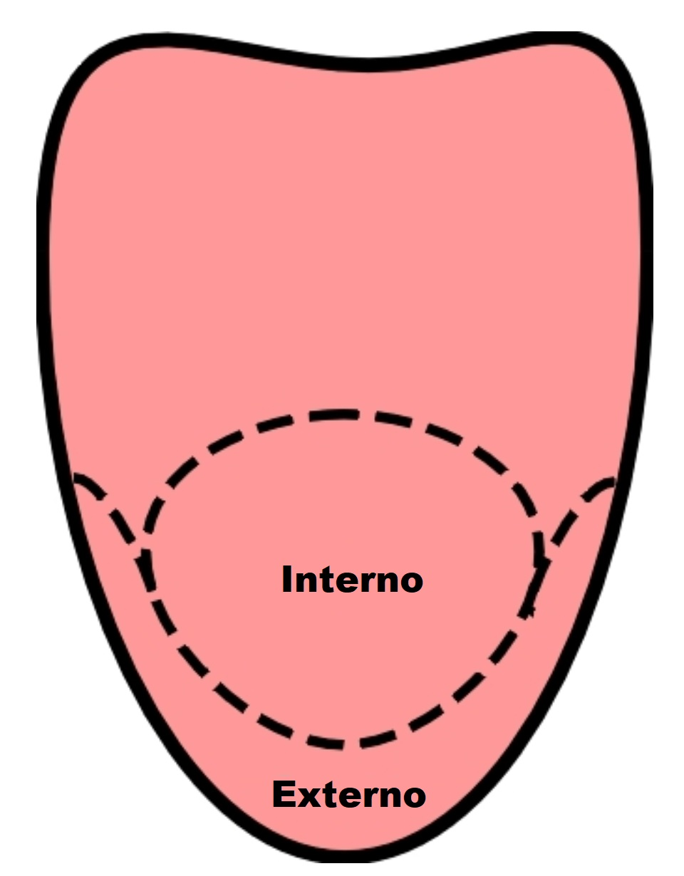 língua diagrama